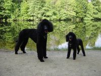 Hanka + Evi